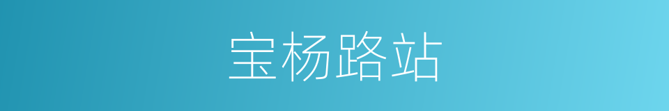 宝杨路站的同义词