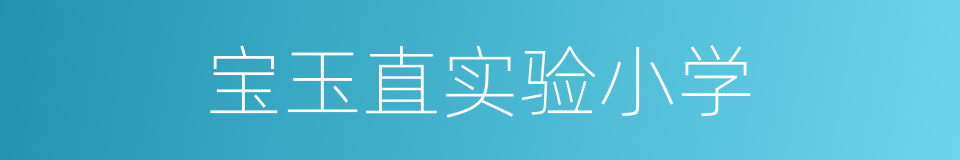 宝玉直实验小学的同义词