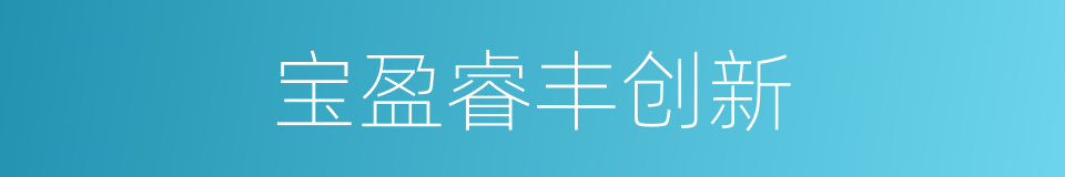 宝盈睿丰创新的同义词