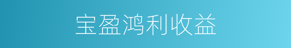 宝盈鸿利收益的同义词