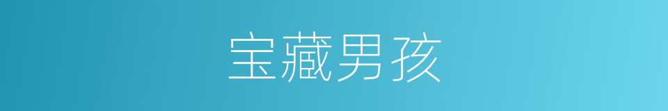 宝藏男孩的意思