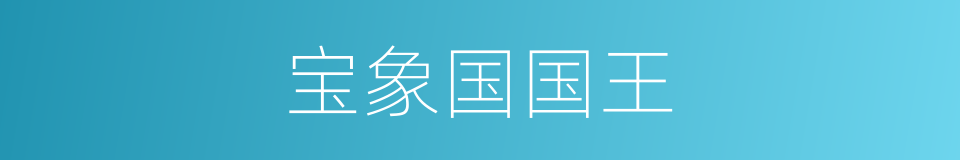宝象国国王的同义词