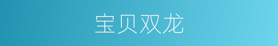 宝贝双龙的同义词