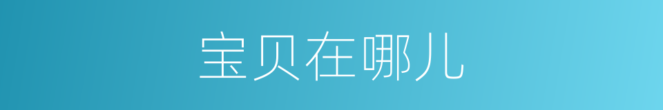 宝贝在哪儿的同义词
