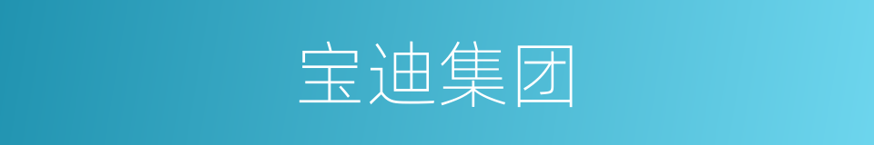 宝迪集团的同义词