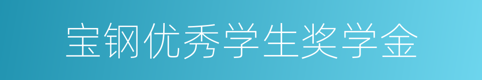 宝钢优秀学生奖学金的同义词