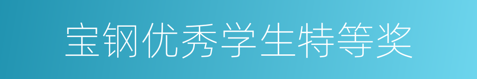 宝钢优秀学生特等奖的同义词