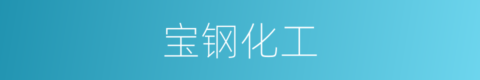 宝钢化工的同义词