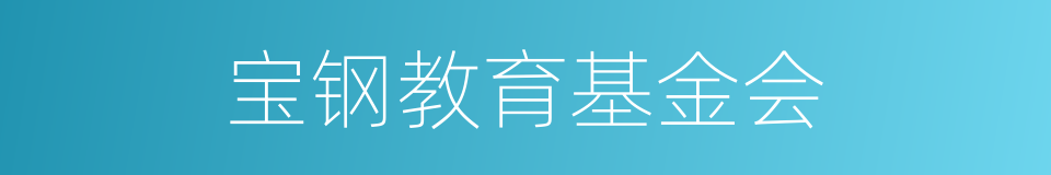 宝钢教育基金会的同义词