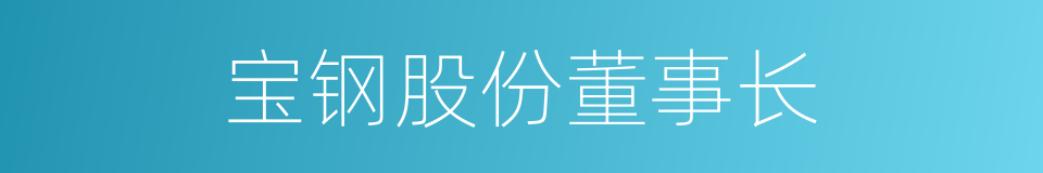 宝钢股份董事长的同义词