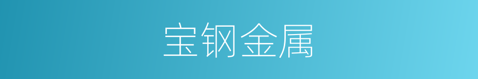 宝钢金属的同义词