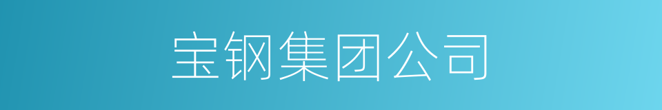 宝钢集团公司的同义词