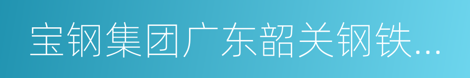 宝钢集团广东韶关钢铁有限公司的同义词