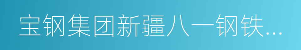 宝钢集团新疆八一钢铁有限公司的同义词