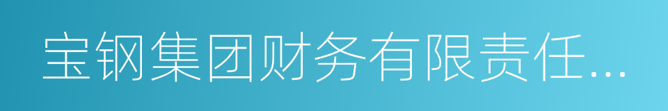 宝钢集团财务有限责任公司的同义词