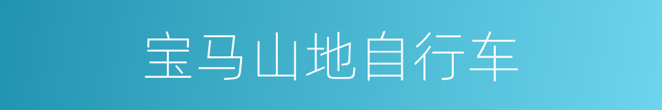 宝马山地自行车的同义词