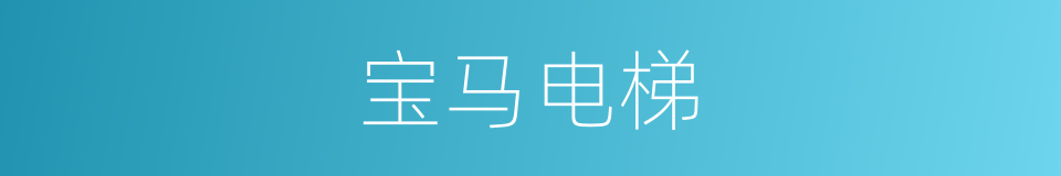 宝马电梯的同义词