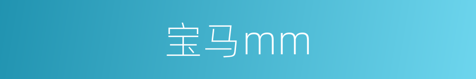 宝马mm的同义词