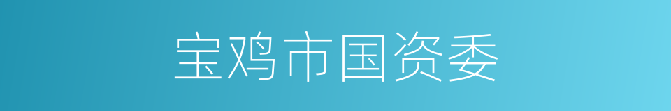 宝鸡市国资委的同义词