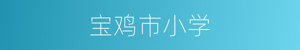 宝鸡市小学的同义词