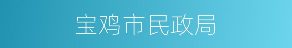 宝鸡市民政局的同义词