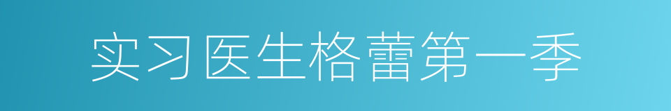 实习医生格蕾第一季的同义词