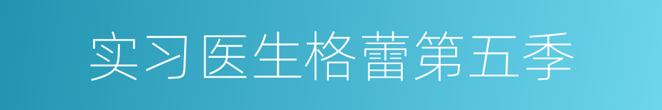 实习医生格蕾第五季的同义词