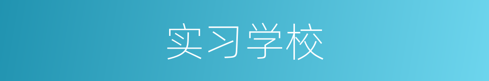 实习学校的同义词