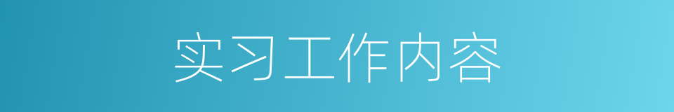 实习工作内容的同义词