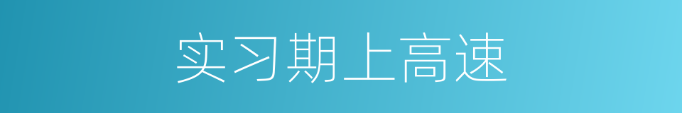实习期上高速的同义词