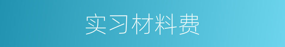 实习材料费的同义词