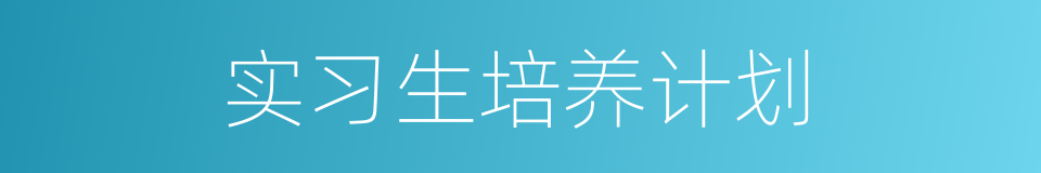 实习生培养计划的同义词