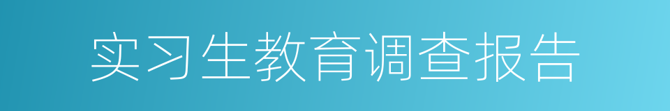 实习生教育调查报告的同义词