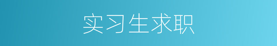 实习生求职的同义词