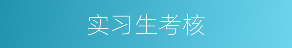 实习生考核的同义词