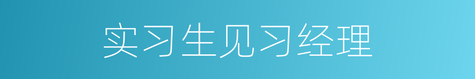 实习生见习经理的同义词