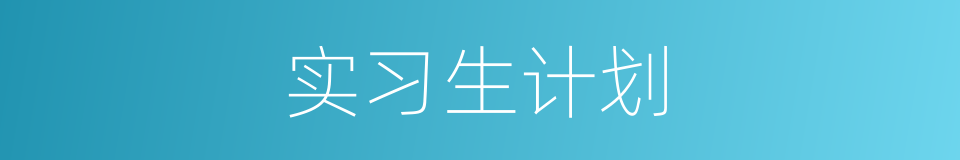 实习生计划的同义词