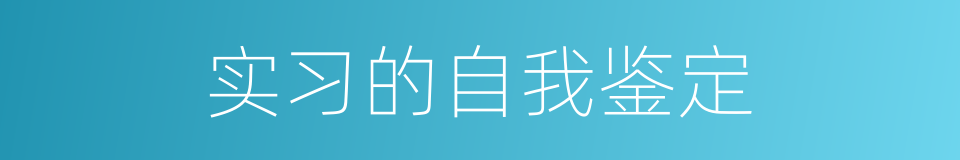 实习的自我鉴定的同义词