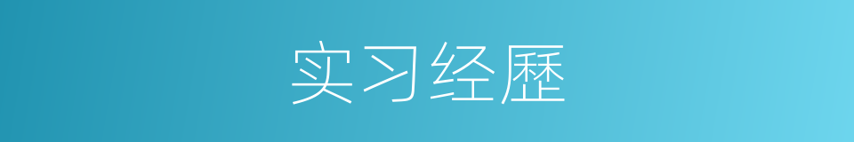 实习经歷的同義詞