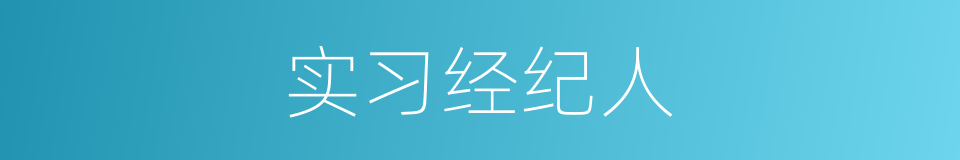 实习经纪人的同义词