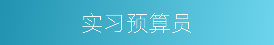 实习预算员的同义词