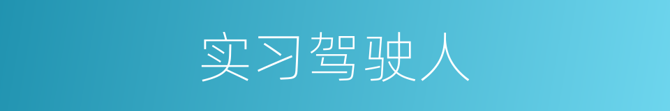 实习驾驶人的同义词