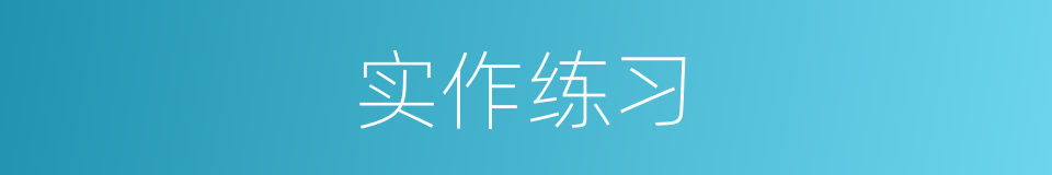 实作练习的同义词