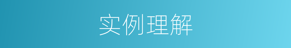 实例理解的同义词