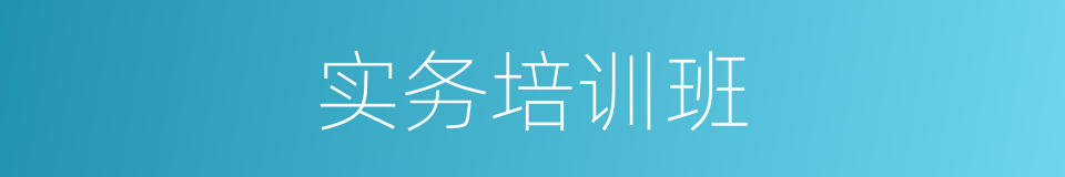 实务培训班的同义词