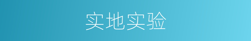实地实验的同义词