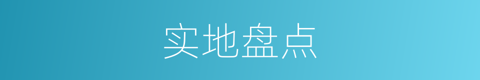 实地盘点的同义词