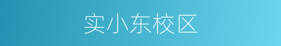 实小东校区的同义词