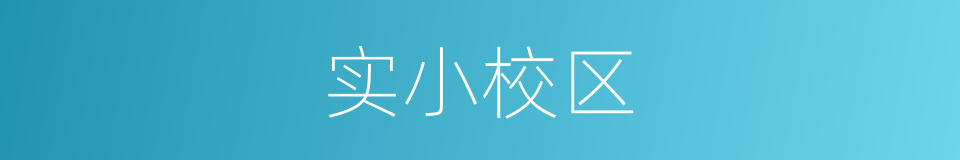 实小校区的同义词