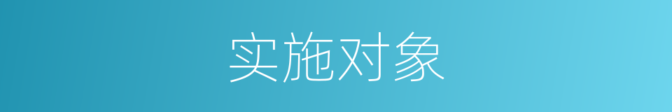 实施对象的同义词